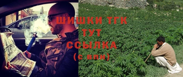 сатива Семилуки