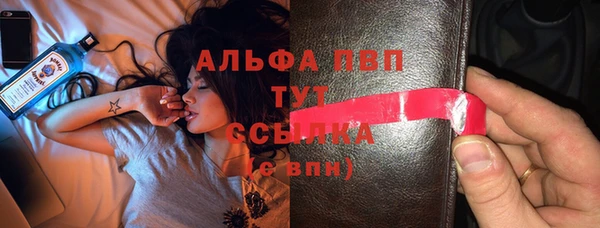 спиды Абаза